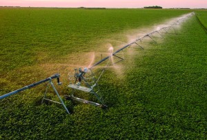 9500DS Drop Span 9500DS Drop Span